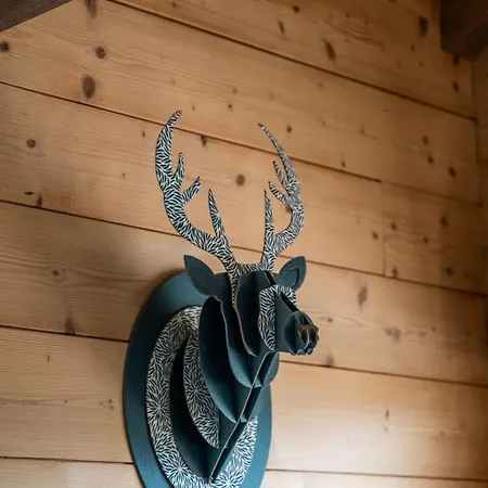 Belombre - 12 Pers - - Sauna Gérardmer